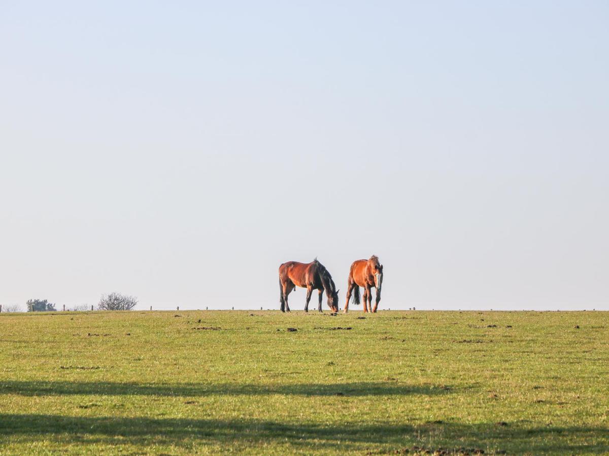 הוילה ת'ירסק The Byre מראה חיצוני תמונה